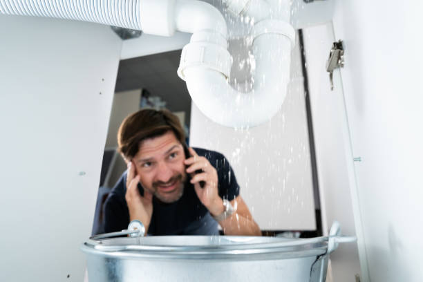 Best Clogged Drain Plumber  in La Croft, OH